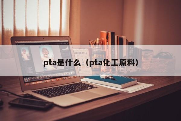 pta是什么（pta化工原料）