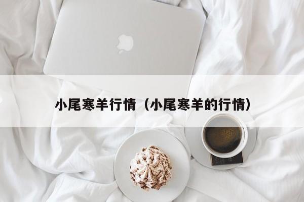 小尾寒羊行情（小尾寒羊的行情）