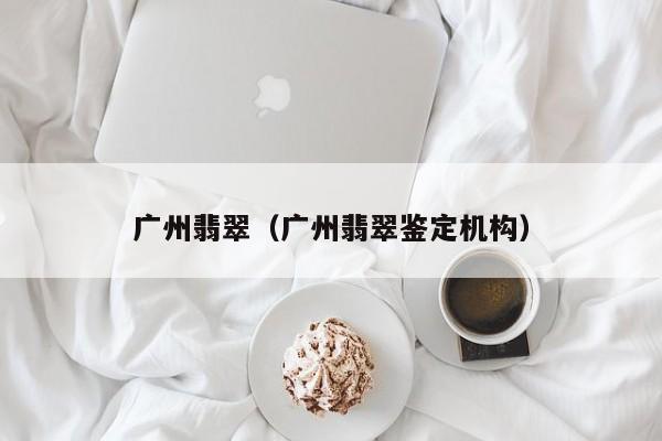 广州翡翠（广州翡翠鉴定机构）