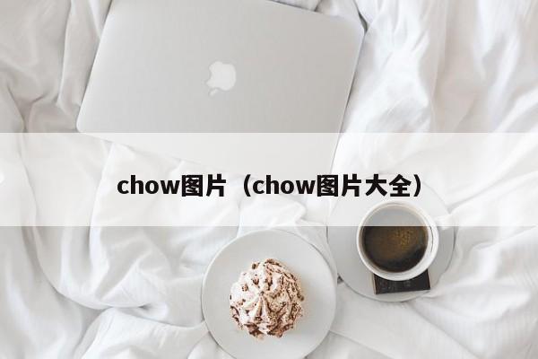 chow图片（chow图片大全）