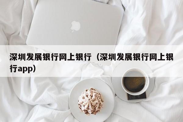 深圳发展银行网上银行（深圳发展银行网上银行app）