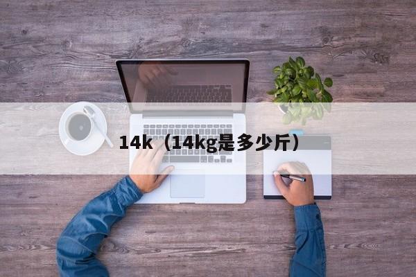 14k（14kg是多少斤）