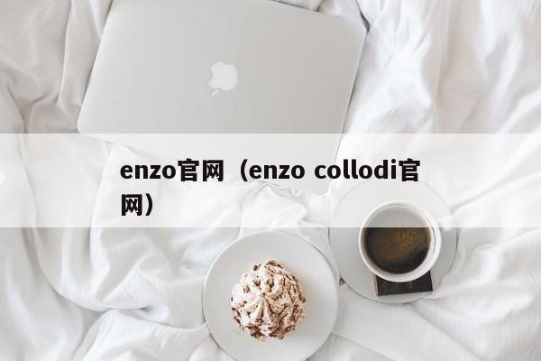 enzo官网（enzo collodi官网）