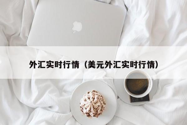 外汇实时行情（美元外汇实时行情）