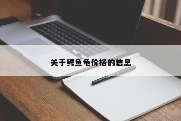 关于鳄鱼龟价格的信息