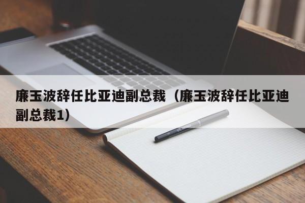 廉玉波辞任比亚迪副总裁（廉玉波辞任比亚迪副总裁1）