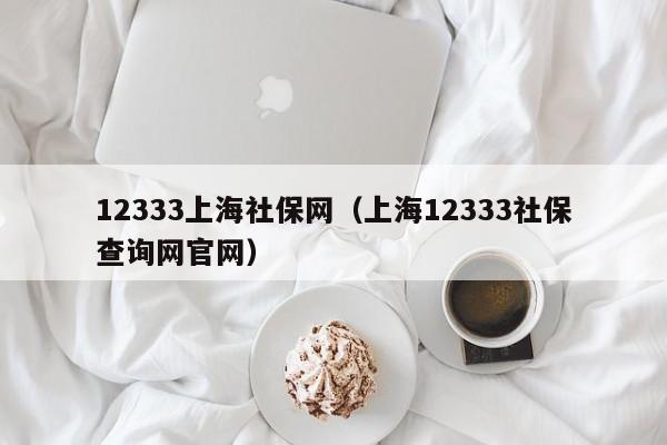 12333上海社保网（上海12333社保查询网官网）