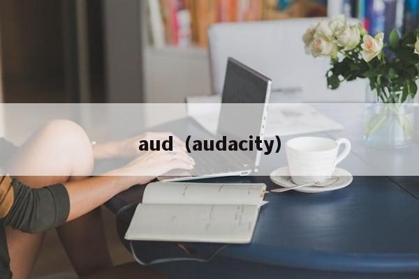 aud（audacity）