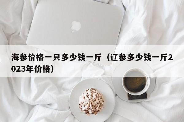 海参价格一只多少钱一斤（辽参多少钱一斤2023年价格）