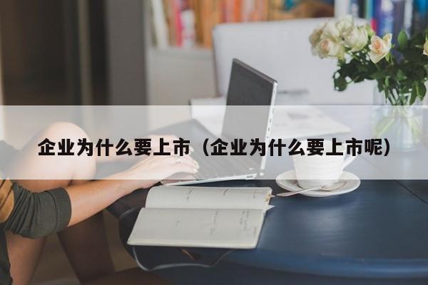 企业为什么要上市（企业为什么要上市呢）