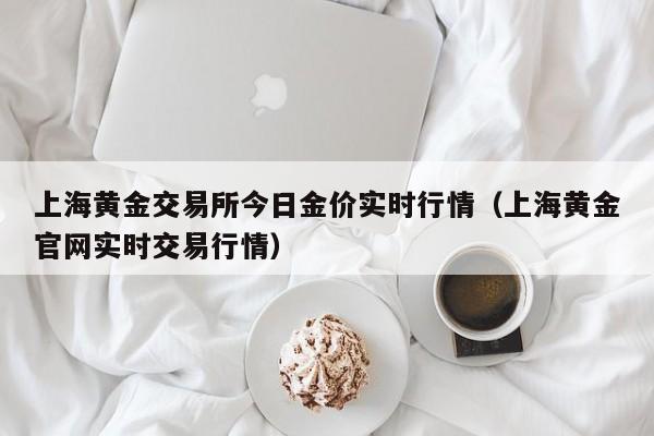 上海黄金交易所今日金价实时行情（上海黄金官网实时交易行情）