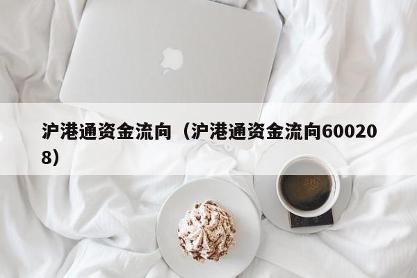 沪港通资金流向（沪港通资金流向600208）