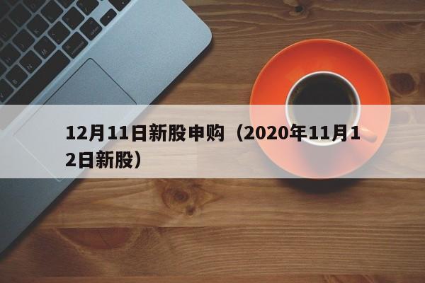 12月11日新股申购（2020年11月12日新股）