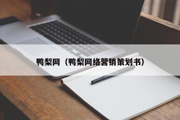 鸭梨网（鸭梨网络营销策划书）