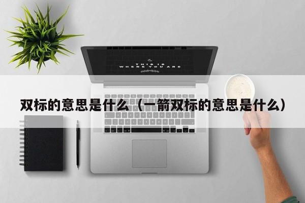 双标的意思是什么（一箭双标的意思是什么）