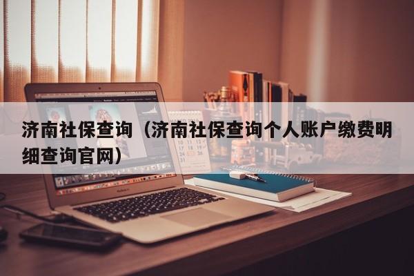 济南社保查询（济南社保查询个人账户缴费明细查询官网）