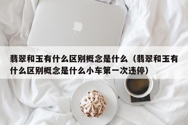 翡翠和玉有什么区别概念是什么（翡翠和玉有什么区别概念是什么小车第一次违停）