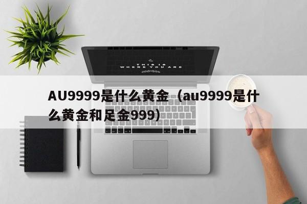 AU9999是什么黄金（au9999是什么黄金和足金999）