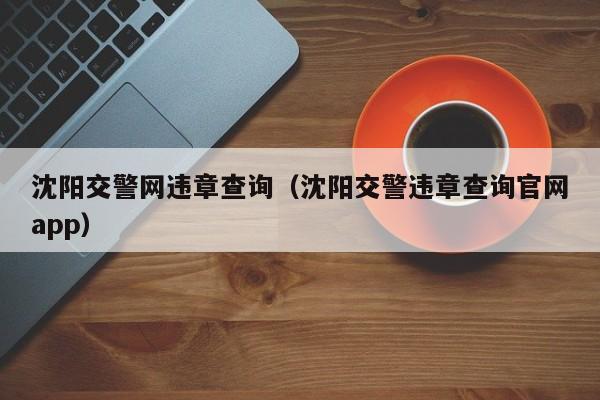 沈阳交警网违章查询（沈阳交警违章查询官网app）