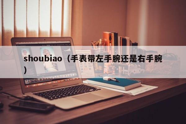 shoubiao（手表带左手腕还是右手腕）